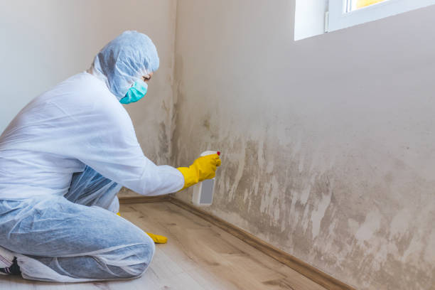 Licensed Attic Mold Remediation service in Dover, MA - Car Mold Remediation